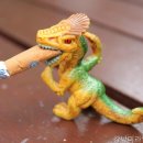 강남미라인치과의원 네이버블로그