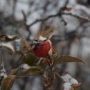 영풍카센타 이미지