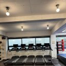 클린히트 복싱 짐 이미지