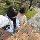 도심길49 이미지