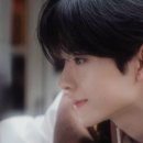 쇼우 이미지