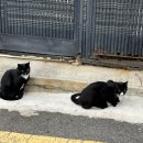 수정로187번길 이미지