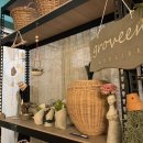 그로빈(groveen) 이미지
