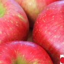 뉴노다지 이미지