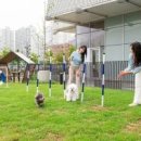 스포츠파크(우) 이미지