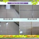 크린파트너