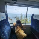 바다에 머무르다 | 기차여행/묵호항/대우칼국수/도째비골스카이밸리/해랑전망대/바다에머무르다/묵호김밥/라운드어바웃동해