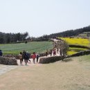 슬로시티청산도 이미지