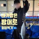 용인실내바다낚시터 | [용인실내바다낚시터] 겨울 실내데이트 추천! 잡은 물고기로 모듬회 먹자 🐟