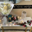 벤첼리 이미지