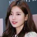 헤어 봄 이미지