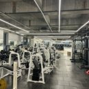 오렌지 휘트니스 이미지