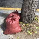 푸라닭충북옥천 이미지