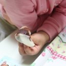 쿠모모찌 이미지