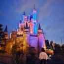 씨스페이스 월배파크점 | 일본 도쿄 디즈니랜드 디즈니씨 입장권 가격 3월 한정 파크호퍼권 티켓 클룩 할인코드