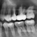 뿌리연합치과의원 이미지