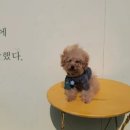 사등운동장 이미지