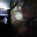 한주축사 이미지