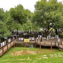 안성 금광호수하늘전망대 이미지