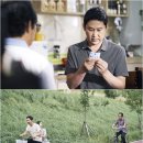포레스트 이미지