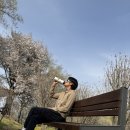 경운산(문수봉)_숲길(등산)1코스 | 🌿[봄 산책과 트레일런닝] 용인농촌테마파크에서 문수봉까지, 걷다 보니 정상이었다