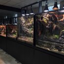 안면도쥬라기박물관 이미지