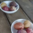 찬우물농장 이미지