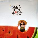 뮤지컬 수박수영장 이미지