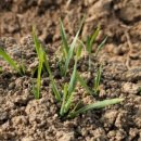 익산원예농협 로컬푸드직매장 이미지