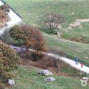 자연목장2 이미지