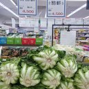[속보]송미령 농림장관 &#34;김장 채소, 마트·시장서 최대 40% 할인 지원&#34;