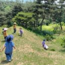 나무와새어린이집 이미지