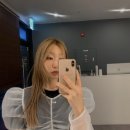 위트헤어(WIT)