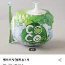 영과육 이미지