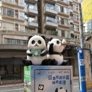 토카(TOCA) | [HONGKUM IN HONGKONG] 센트럴 마켓: TOCA LOCA SUPERMARKET, SLOWOOD, 기념품, 소품, 홍콩쇼핑, 홍콩...
