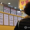 26년 주택 보유세 8조 7천 803억원 추산 이미지