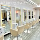 안산 고잔동 미용실 요몽헤어 안산고잔점 업체 정보 후기