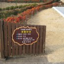 장영실과학동산 이미지