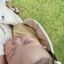 새봄목장 이미지