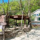 학동누리펜션 | [경상남도 고성군] 얼음골야영장