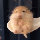 씨유 센텀클래스원점 | 260305 일상 기록