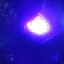 광진차유리 이미지