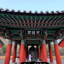 곡성-175 | 곡성여행 [도림사]