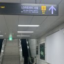 샤라네 | 드라큘라 뮤지컬 김준수 검머 샤라큘라 후기 | LG아트센터 서울 1층 4열 시야