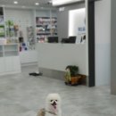 24시 위드유 동물의료센터 이미지