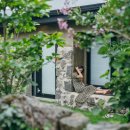 하루나의뜰 이미지