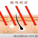 전기장판의 진실 이미지