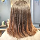 헤이살롱 | 청주 비하동 미용실 커트후기 헤이빈살롱