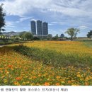 낙동강관리본부 화명생태공원 3 이미지