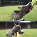 역전농장 이미지